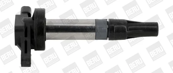 Ritė, uždegimas BorgWarner (BERU) ZSE196