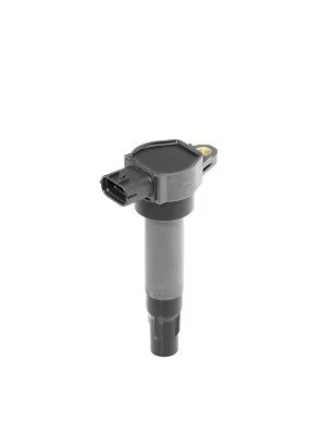 Ritė, uždegimas BorgWarner (BERU) ZSE200