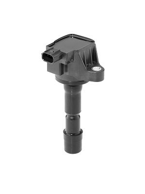 Ignition Coil BorgWarner (BERU) ZSE210