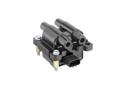 Ritė, uždegimas BorgWarner (BERU) ZSE218