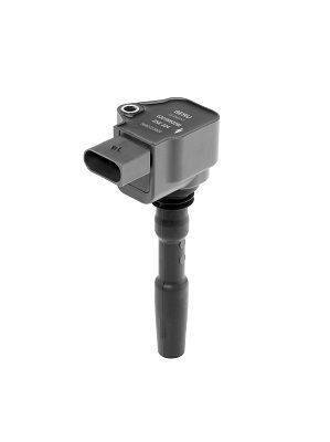 Ritė, uždegimas BorgWarner (BERU) ZSE224