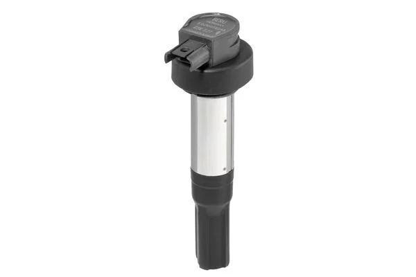 Ritė, uždegimas BorgWarner (BERU) ZSE227