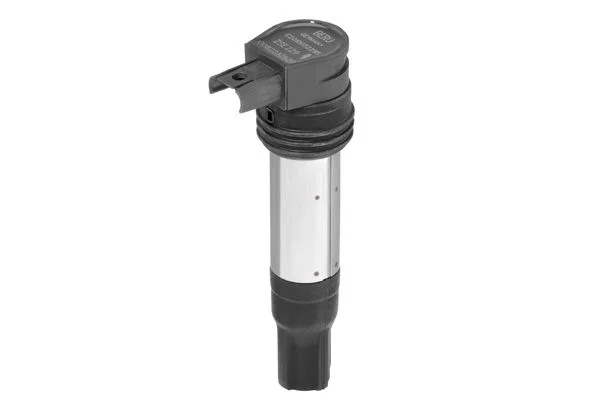 Ritė, uždegimas BorgWarner (BERU) ZSE229