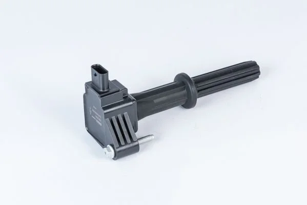 Ritė, uždegimas BorgWarner (BERU) ZSE235