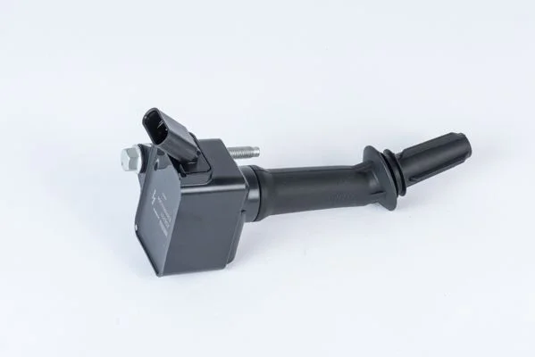 Ritė, uždegimas BorgWarner (BERU) ZSE237