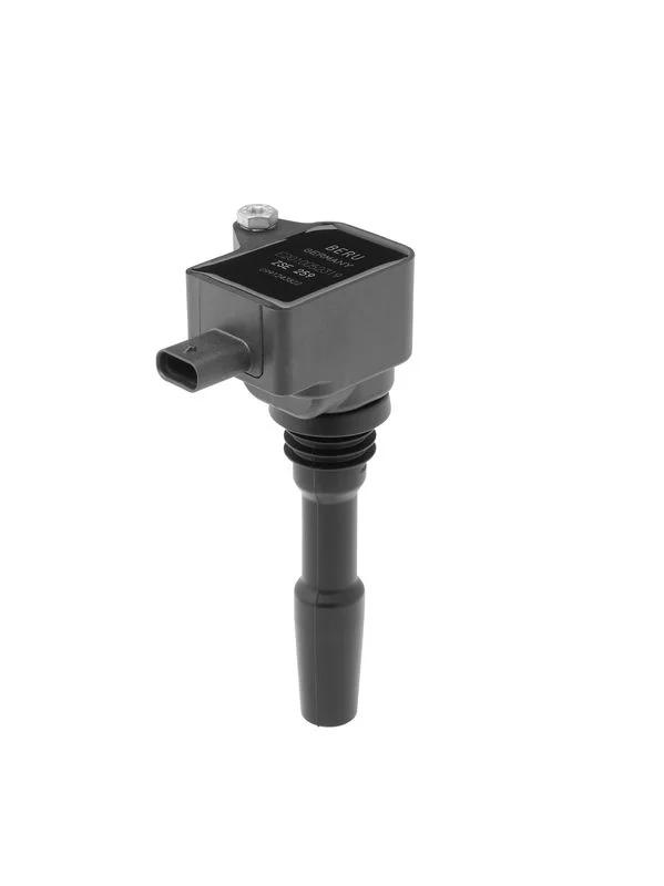Ritė, uždegimas BorgWarner (BERU) ZSE259