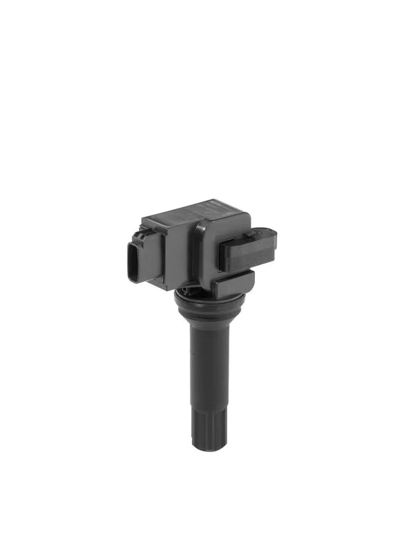 Ritė, uždegimas BorgWarner (BERU) ZSE290