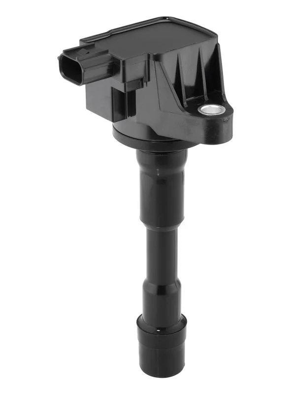 Ritė, uždegimas BorgWarner (BERU) ZSE291