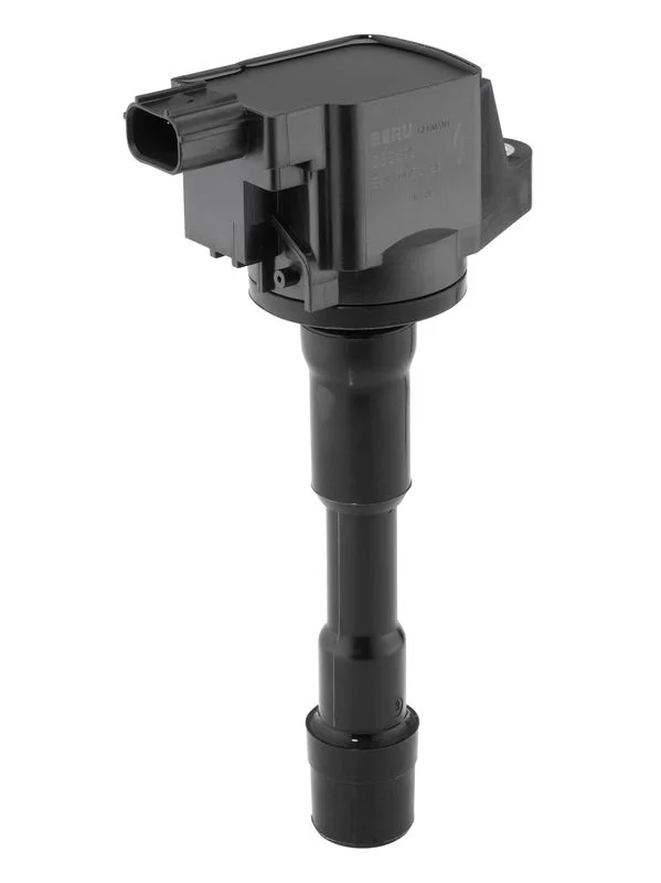 Ritė, uždegimas BorgWarner (BERU) ZSE292