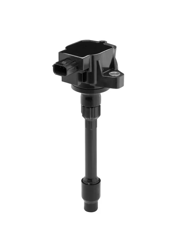 Ritė, uždegimas BorgWarner (BERU) ZSE295