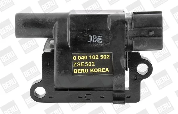 Ritė, uždegimas BorgWarner (BERU) ZSE502