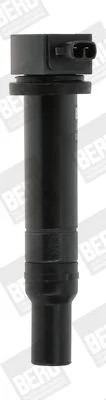 Ritė, uždegimas  ZS481
