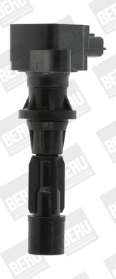 Ritė, uždegimas BorgWarner (BERU) ZS488