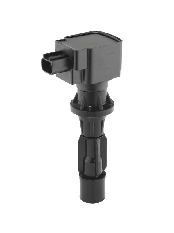 Ritė, uždegimas borgwarner (beru) ZS618