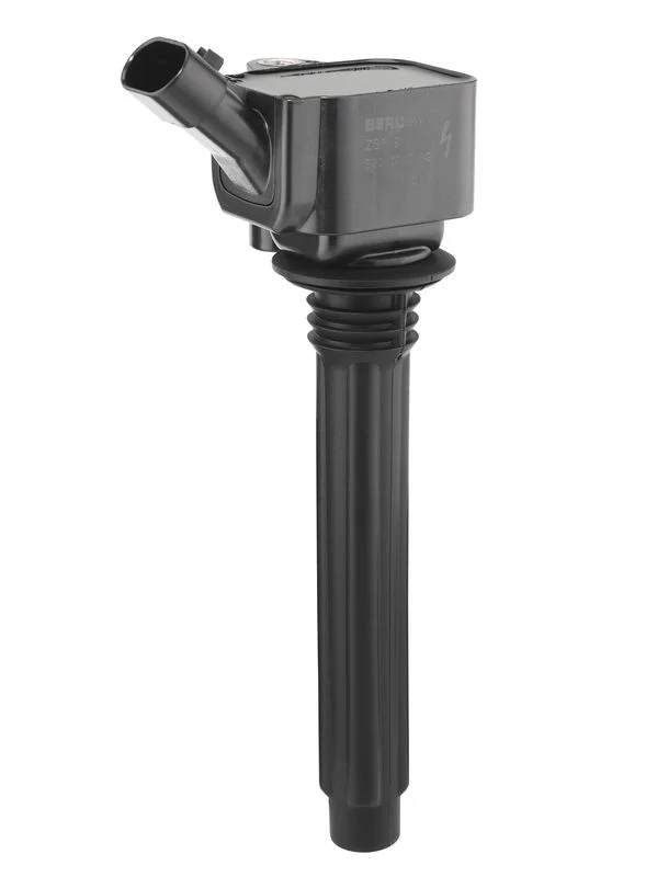 Ritė, uždegimas borgwarner (beru) ZS619