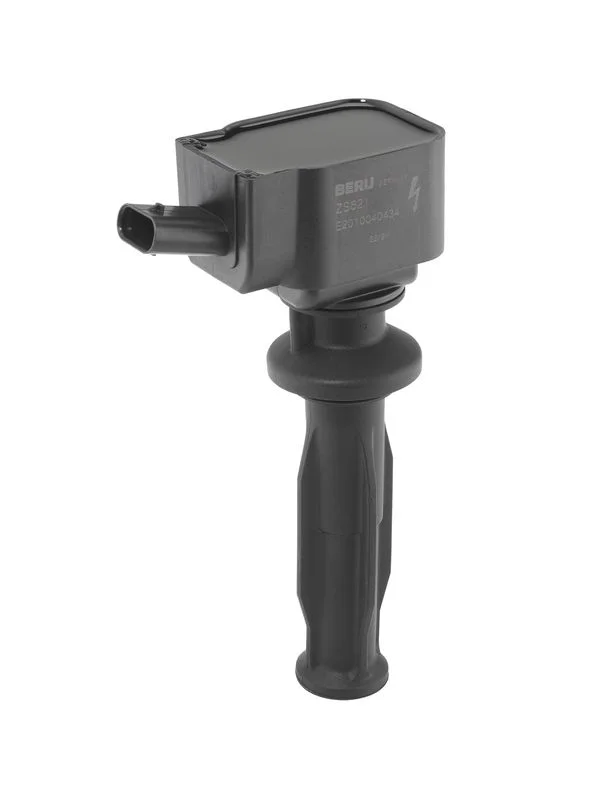 Ritė, uždegimas borgwarner (beru) ZS621