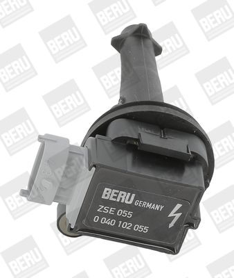 Ritė, uždegimas BorgWarner (BERU) ZSE055