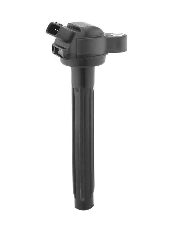 Ritė, uždegimas borgwarner (beru) ZSE261