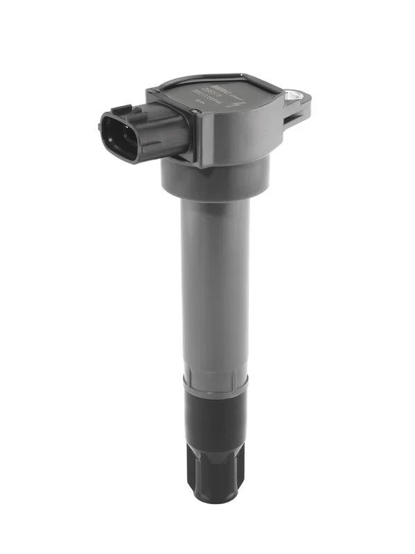 Ritė, uždegimas borgwarner (beru) ZSE315