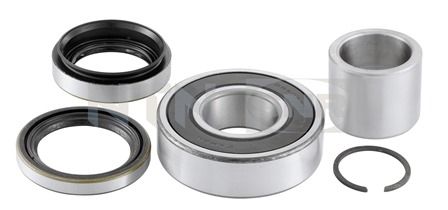 Wheel Bearing Kit SNR R141.38