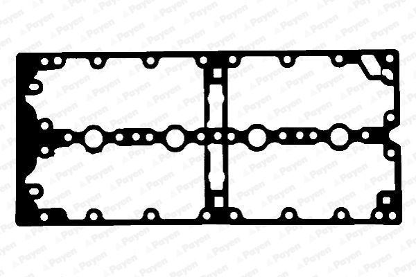 Gasket, cylinder head cover PAYEN JM5201