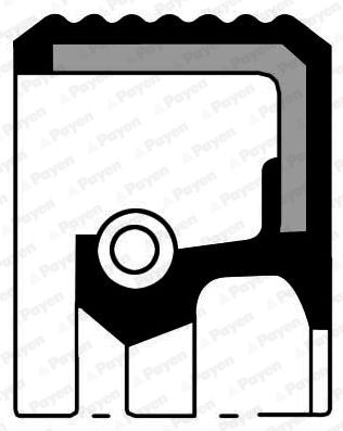 Shaft Seal, crankshaft PAYEN NA5037