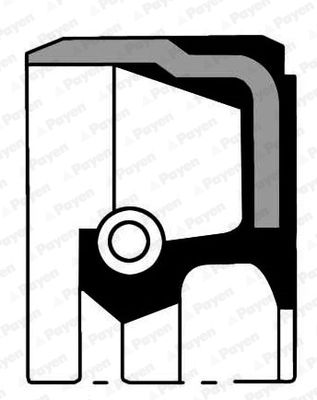 Shaft Seal, crankshaft PAYEN NA5139