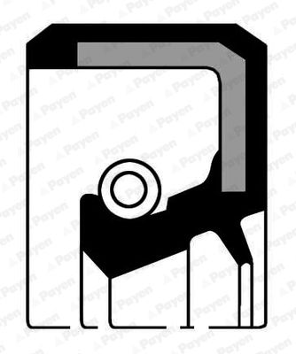 Shaft Seal, crankshaft PAYEN NJ252