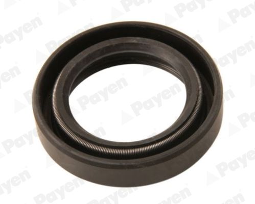 Shaft Seal PAYEN NJ849