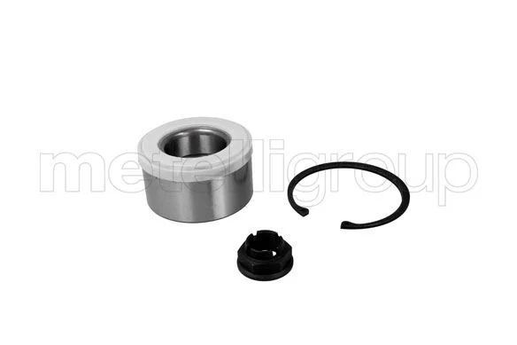 Rato guolio komplektas METELLI 19-2781