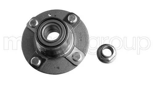 Rato guolio komplektas METELLI 19-7797
