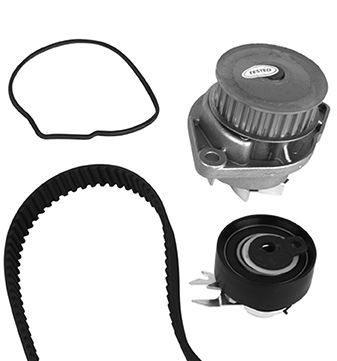 Water Pump & Timing Belt Kit METELLI 30-0676-1