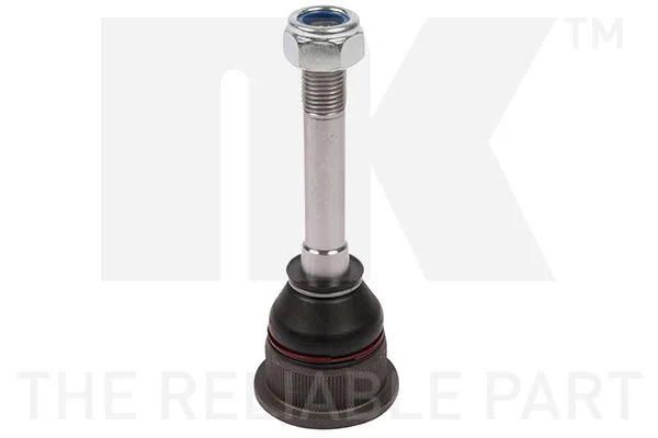 2462 NK 5041502