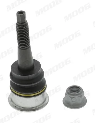 Šarnyras / girgždukas MOOG OP-BJ-15317