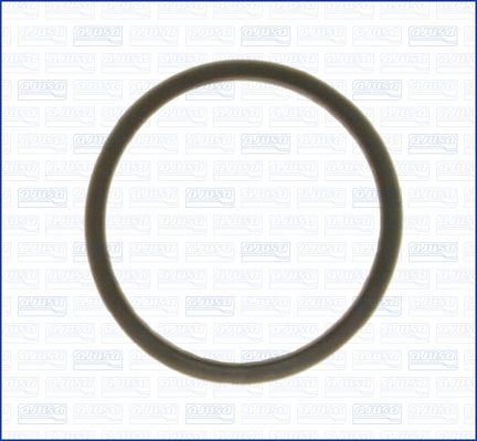 Seal, thermostat AJUSA 00843000