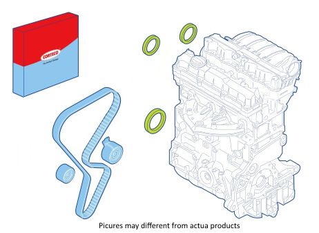 Set brtvi, motor CORTECO 289118