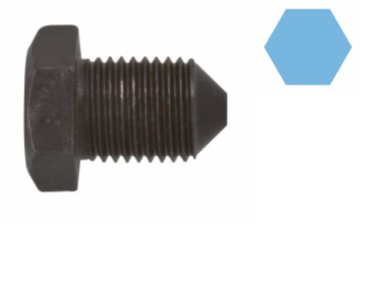 Screw Plug, oil sump CORTECO 220079H
