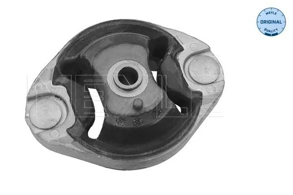 Variklio montavimas MEYLE 100 399 0035