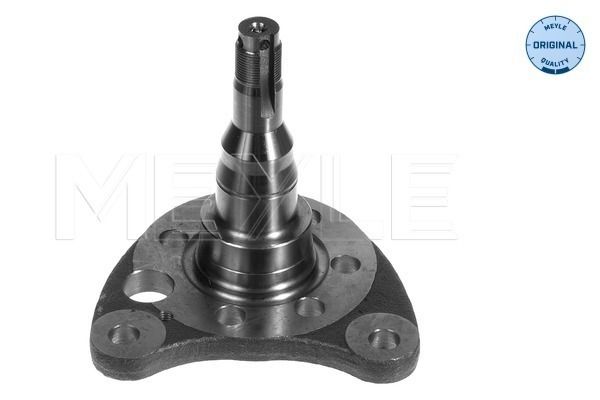 Steering Knuckle, wheel suspension MEYLE 100 501 0011