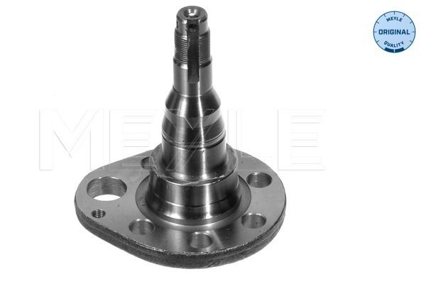 Steering Knuckle, wheel suspension MEYLE 100 501 0036