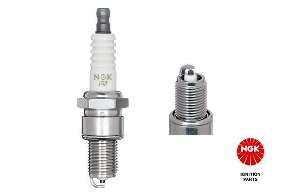 Spark Plug NGK 7281