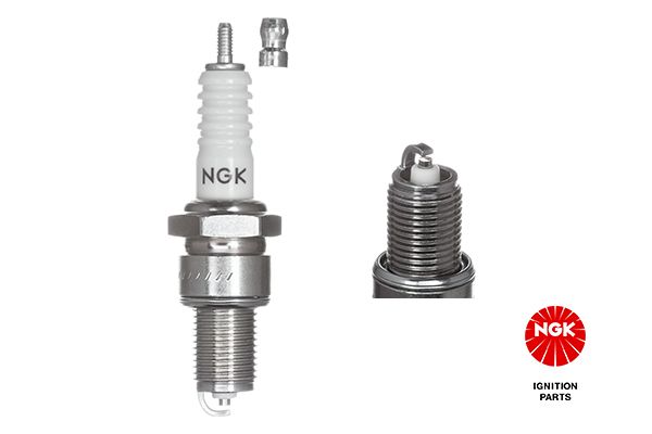 Spark Plug NGK 7811