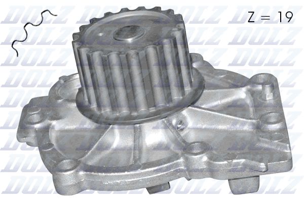 Water Pump, engine cooling DOLZ R304