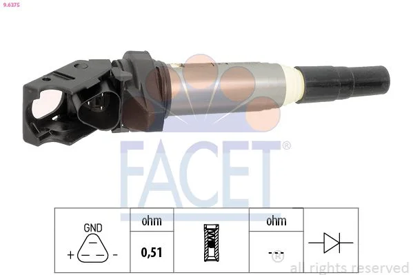 Ritė, uždegimas FACET 9.6375