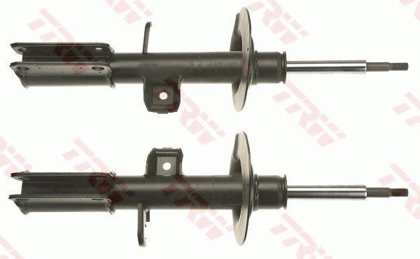 Amortizatorius TRW JGM1009T