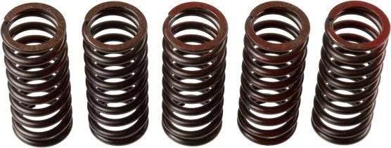 Clutch Spring Set TRW MEF304-5