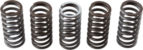 Clutch Spring Set TRW MEF309-5