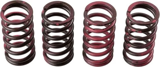 Clutch Spring Set TRW MEF311-4