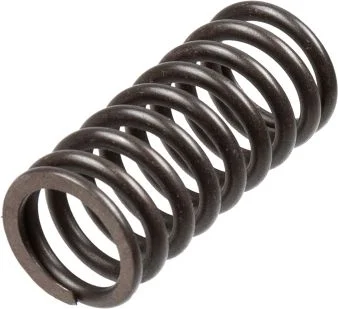 Clutch Spring Set TRW MEF316-5