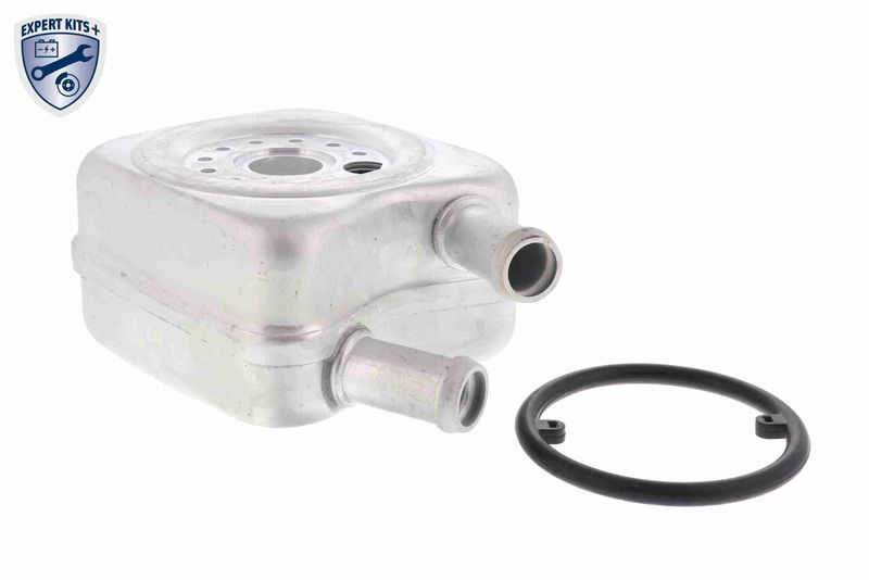 Oil Cooler, engine oil VEMO V15-60-6010